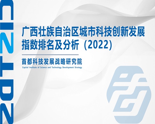 艹骚b【成果发布】广西壮族自治区城市科技创新发展指数排名及分析（2022）